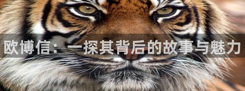 先锋娱乐网址：欧博信：一探其背后的故事与魅力