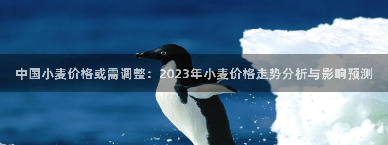 先锋娱乐app下载官网：中国小麦价格或需调整：2023年小麦价格走势分析与影响预测