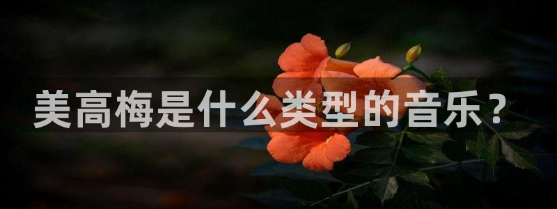 壹号平台下载安装：美高梅是什么类型的音乐？