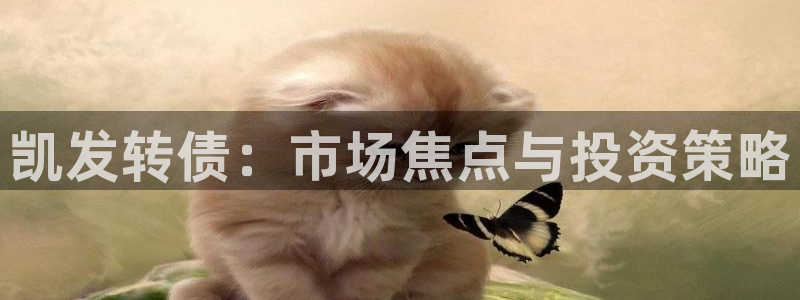 先锋娱乐 - ng大舞台,有梦你就来：凯发转债：市场焦点与投资策略