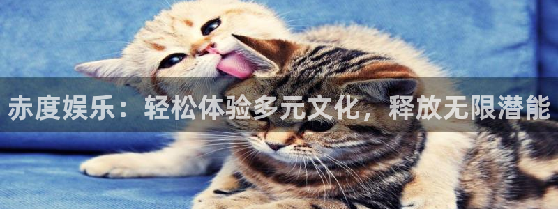 壹号大舞台娱乐app下载安装：赤度娱乐：轻松体验多元文化，释放无限潜能