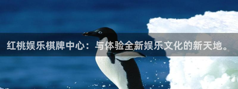 先锋娱乐,com：红桃娱乐棋牌中心：与体验全新娱乐文化的新天地。