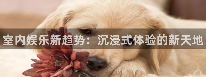 先锋娱乐官网下载：室内娱乐新趋势：沉浸式体验的新天地