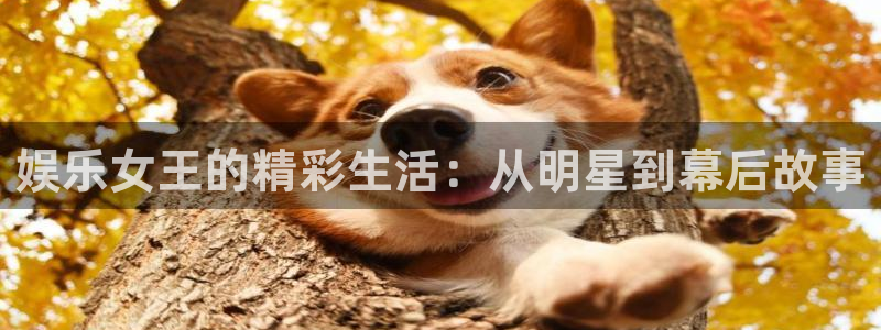 先锋娱乐app最新版怎么下载苹果：娱乐女王的精彩生活：从明星到幕后故事