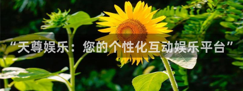 壹号电子娱乐app下载安装：“天尊娱乐：您的个性化互动娱乐平台”