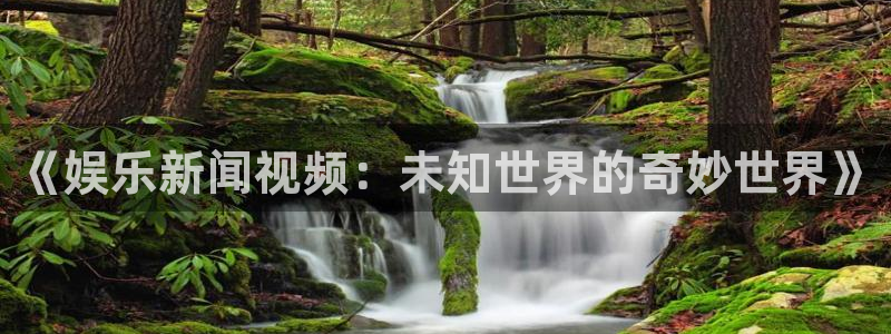先锋娱乐app网页入口：《娱乐新闻视频：未知世界的奇妙世界》