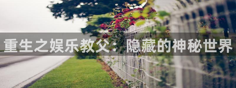 壹号大舞台入口：重生之娱乐教父：隐藏的神秘世界
