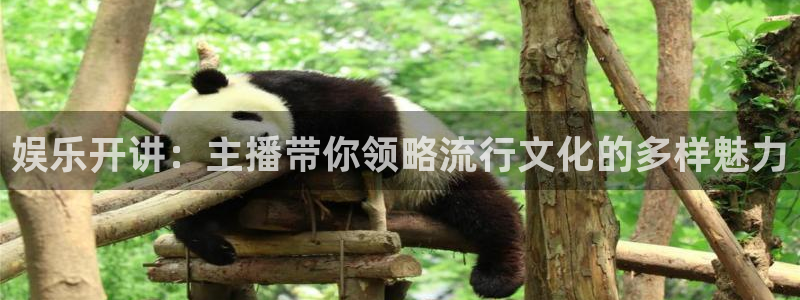 壹号大舞台下载：娱乐开讲：主播带你领略流行文化的多样魅力