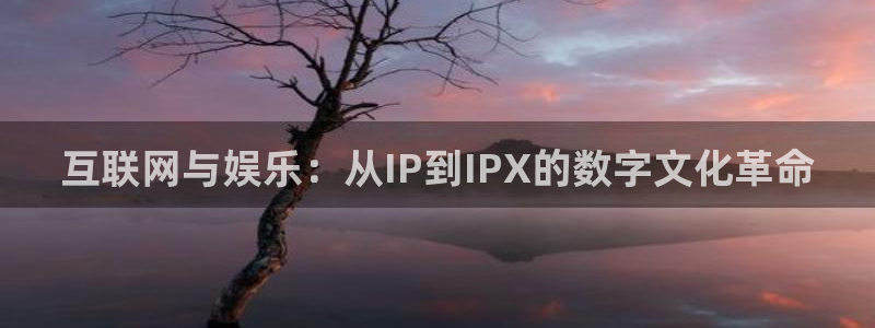 壹号大舞台,有梦你就来：互联网与娱乐：从IP到IPX的数字文化革命