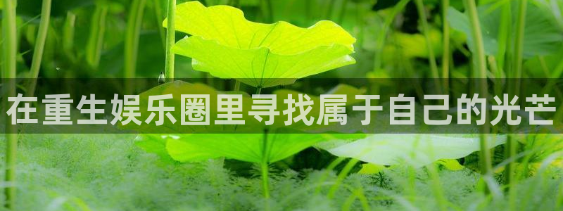 先锋娱乐官网：在重生娱乐圈里寻找属于自己的光芒