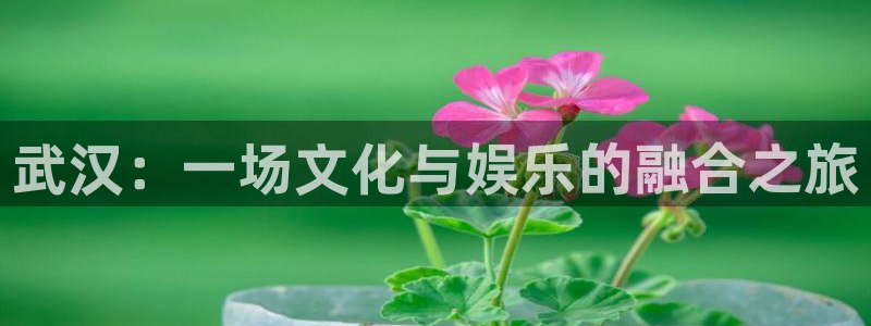 壹号注册入口app下载