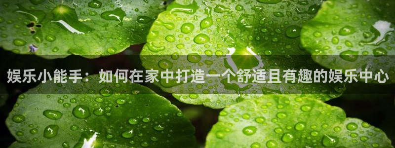 先锋娱乐网址：娱乐小能手：如何在家中打造一个舒适且有趣的娱乐中心