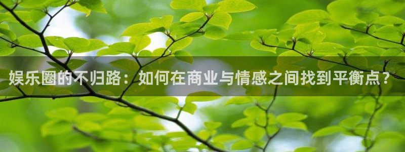 伟德国际集团 壹号(one game)：娱乐圈的不归路：如何在商业与情感之间找到平衡点？