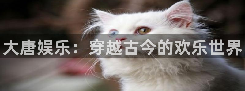 先锋娱乐app官网